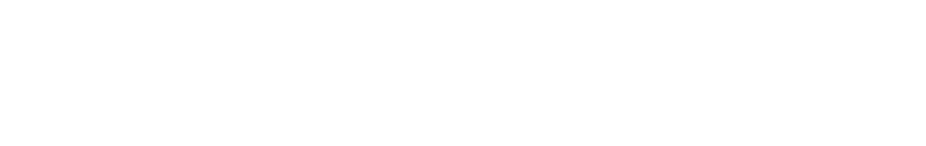 Leadmastro Logo